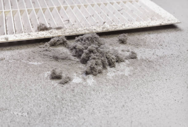 Best Best Air Duct Cleaning Company  in Fussels Corner, FL